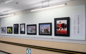 2015.12.08.-12.26.　ギャラリーなかがみ「うるま市写楽サークル展」01